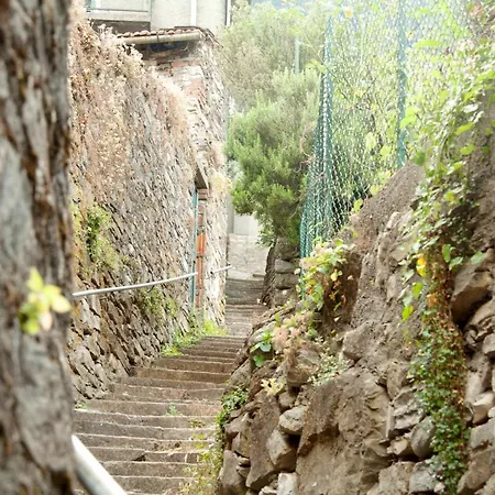 Diffuso Ca' Spiga 拉利奥