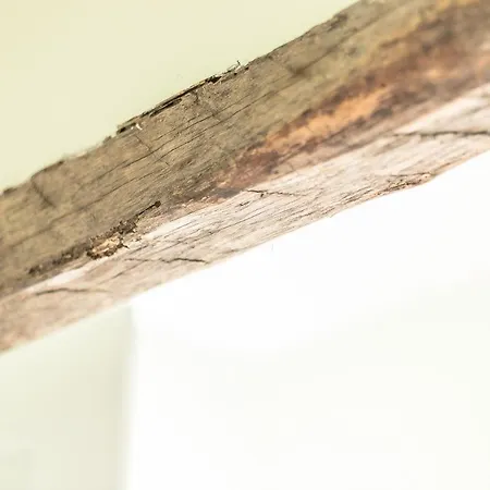 Diffuso Ca' Spiga 住宿加早餐酒店 拉利奥